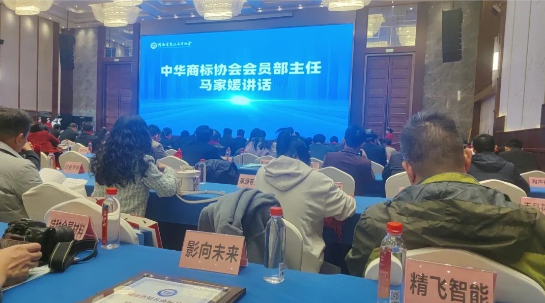 精飞智能荣获“湖南省知名商标品牌”